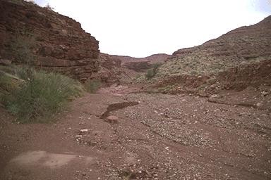 [Grand Canyon]