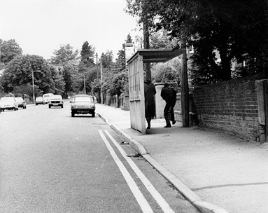 [Pavement Terror]