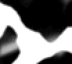 Tucows